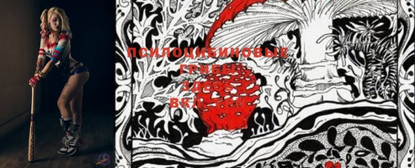 ешки Каменка