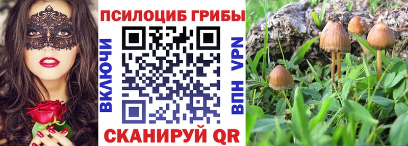 Псилоцибиновые грибы мицелий  ОМГ ОМГ сайт  Севск  где купить наркотик 